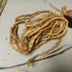 DSCN0698