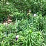 photo-11