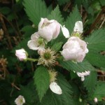 photo-12