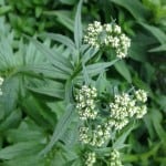photo-14