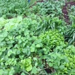 photo-16