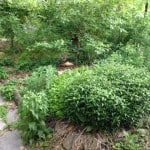 photo-18