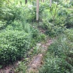 photo-19