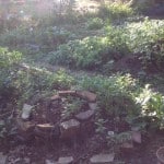 photo-20