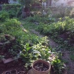 photo-21