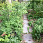 photo-22