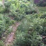 photo-23