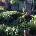 photo-24