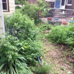 photo-3