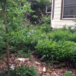 photo-9