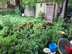 image_1