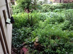 image_2