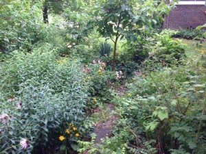 image_3