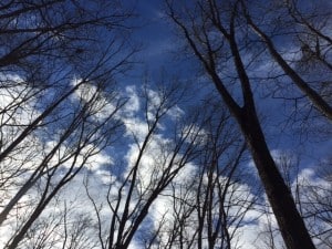 image12