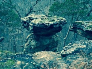 image3