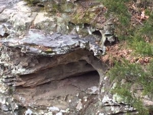 image6