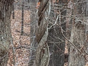 image8