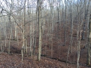 image8