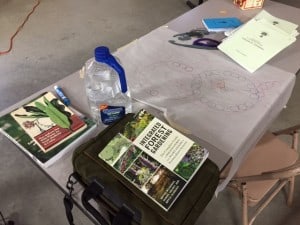 image6