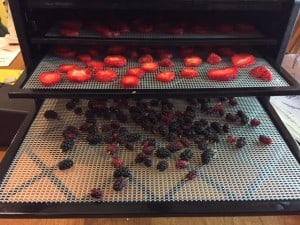 IMG_1603