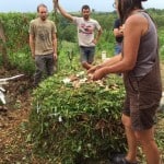 Composting