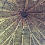 Thatched Roof