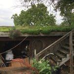 Living Roof