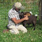 Wayne with Nigerian Dwarf goat babies