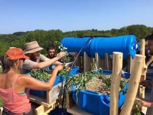 aquaponics - Permaculture Project
