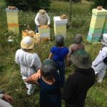 Beekeeping