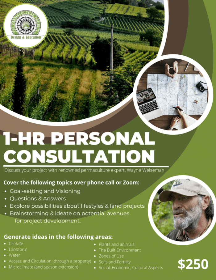 1-Hr Personal Consultation with Wayne Weiseman