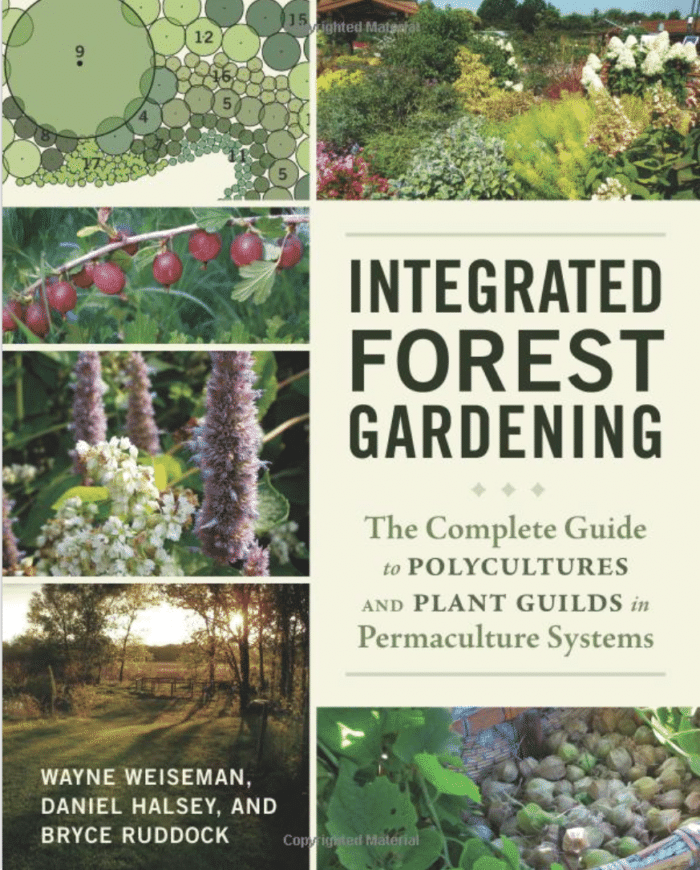 Integrated Forest Gardening